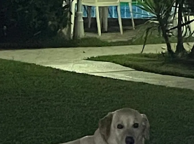 Belka Golf Poolside Apt1