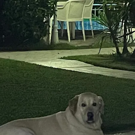 Belka Golf Poolside Apt1